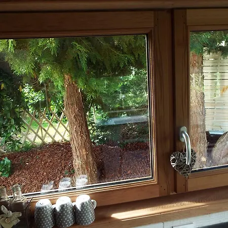 Tiny House 