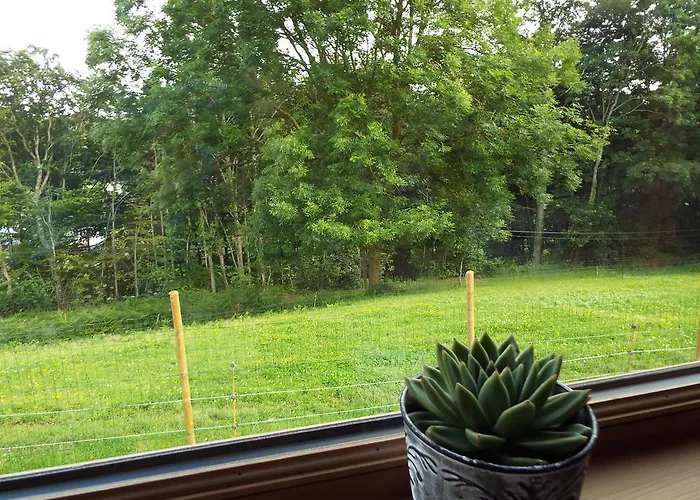 度假居 Tiny House 